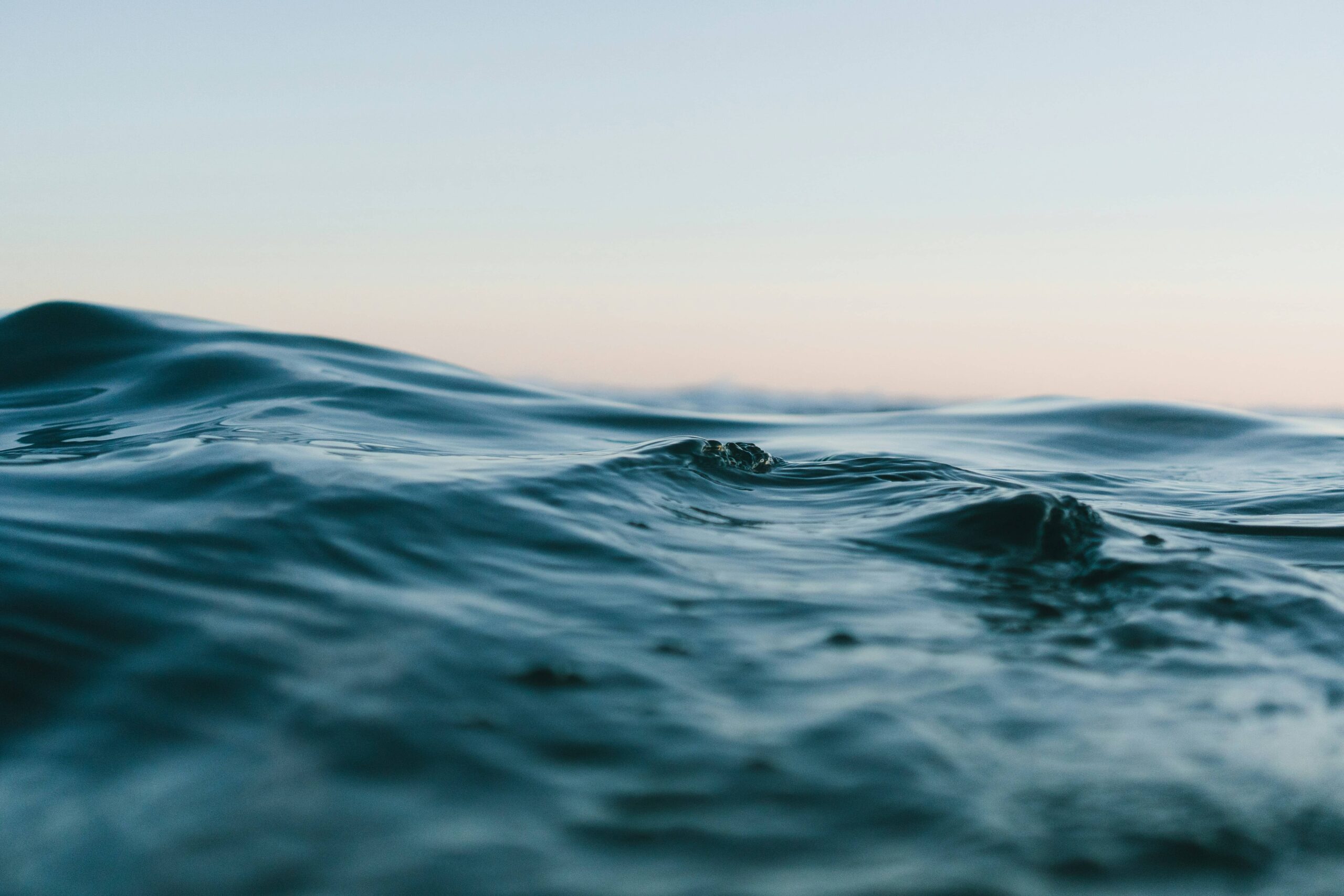 2050 | True to Water